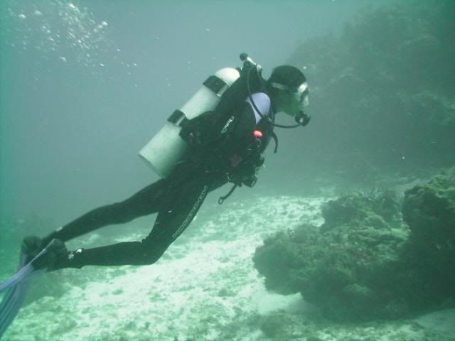 PICT0011-1.jpg