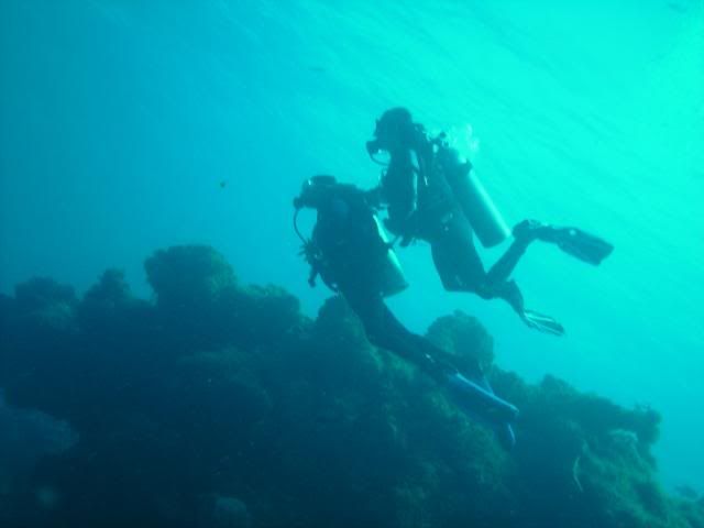 PICT0018-1.jpg