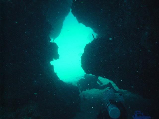 swimthru-3.jpg