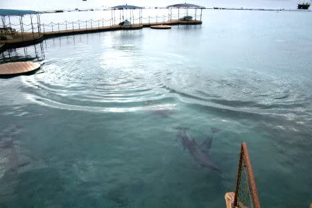 PICT1233.jpg