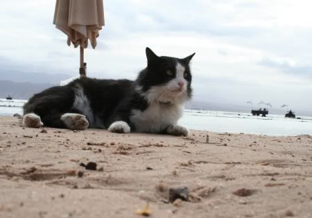 PICT1276.jpg