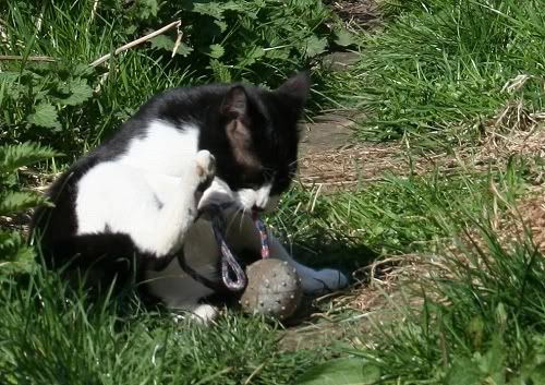 Picture070.jpg