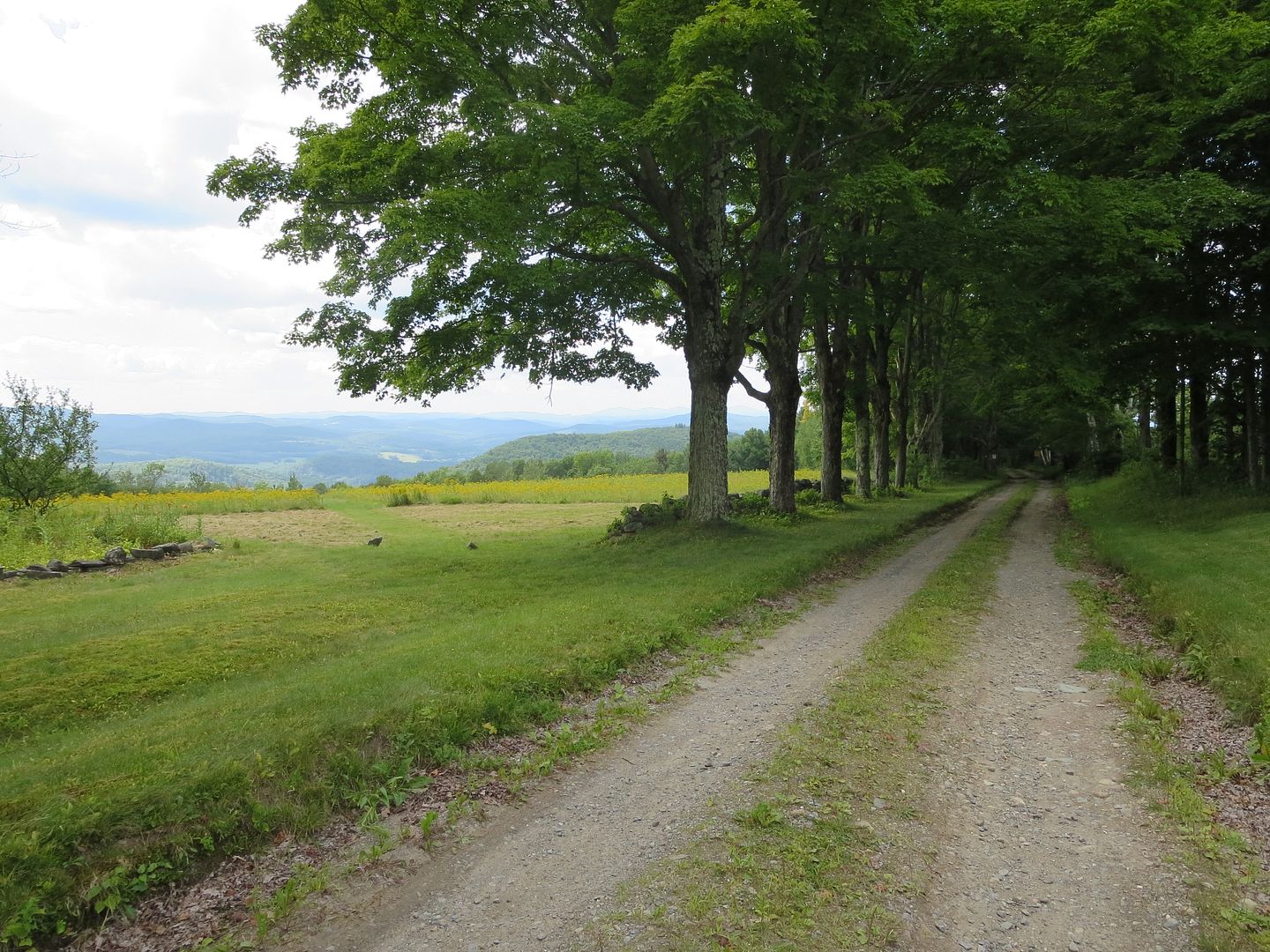 Warren, NH "Old Home Days" aka "Vernstock" TW200 Forum