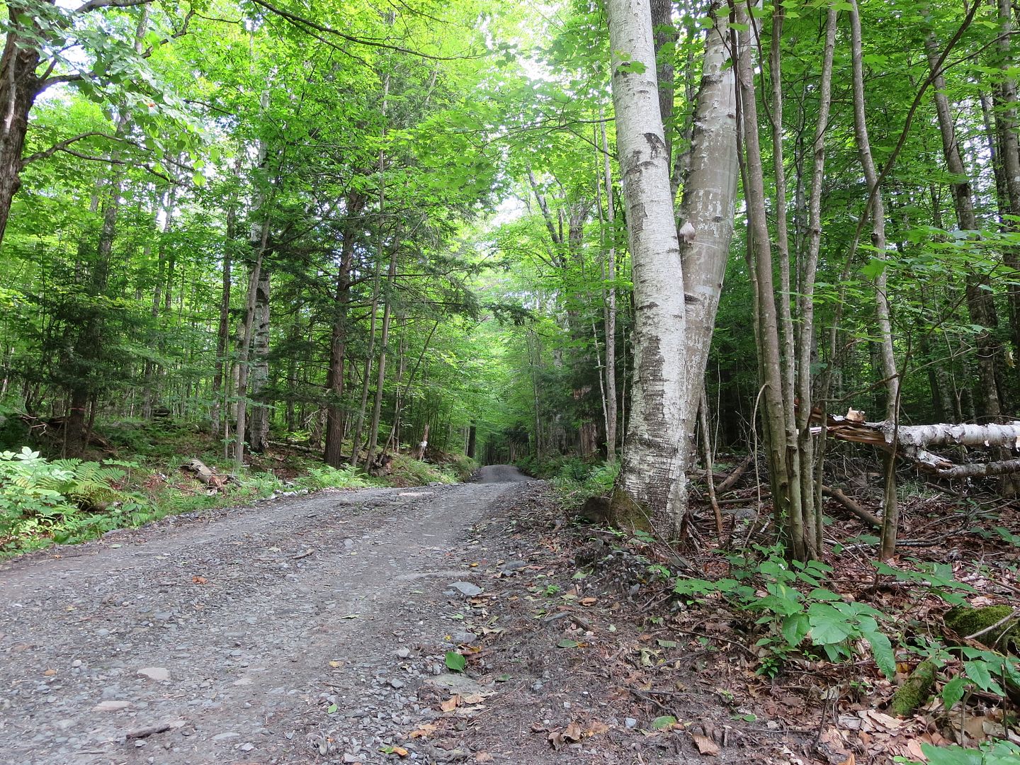 Warren, NH "Old Home Days" aka "Vernstock" TW200 Forum