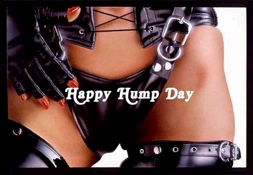 Happy Hump Day Leather Dominatrix UpClose photo hhdri4-1.jpg