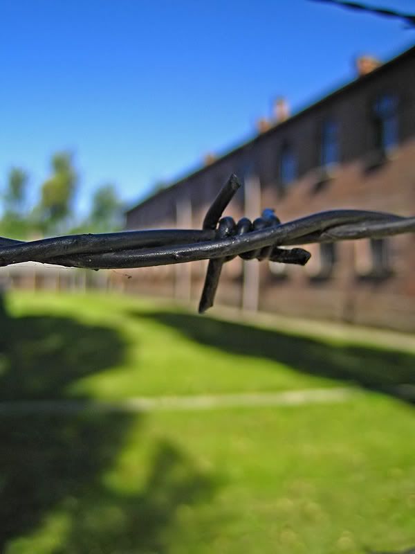 IMAGE: http://i74.photobucket.com/albums/i263/stuartcuss/barbedwire.jpg