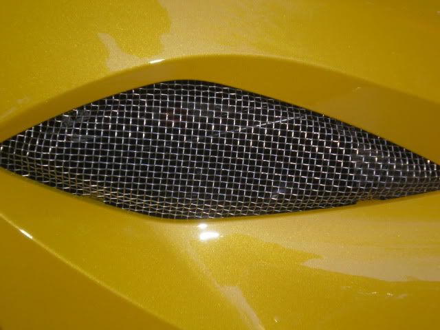 Picture024.jpg