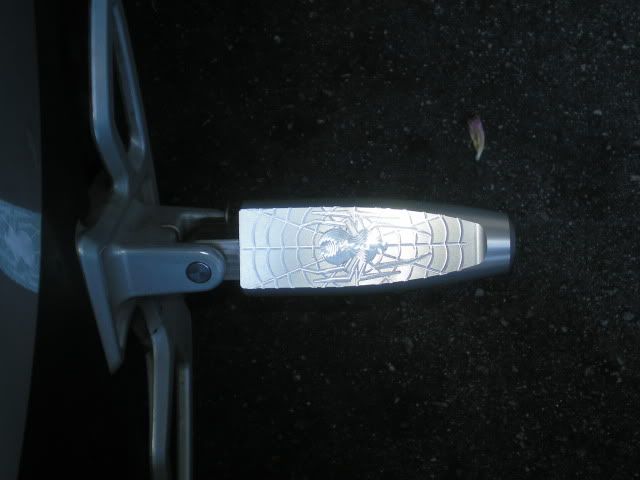 Picture033.jpg