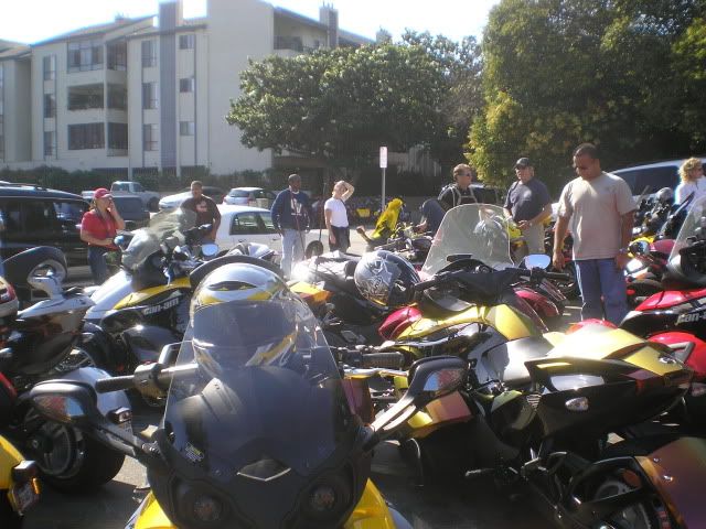 Picture003.jpg