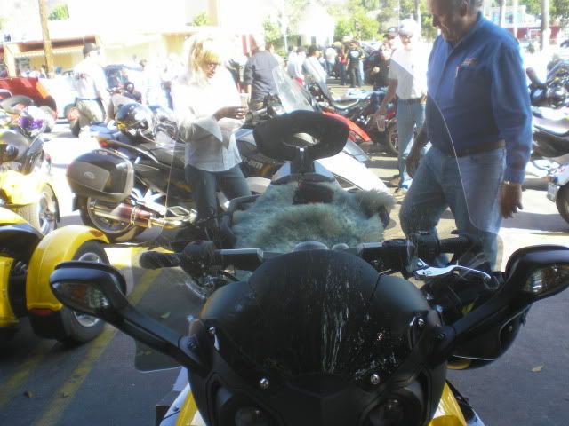 Picture020.jpg