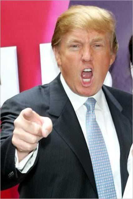 Donald Trump photo: Donald Trump (Your Fired) trump-youre-fired.jpg