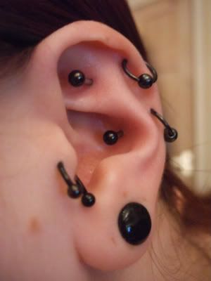 Metal - Septum, Left ear - lobe x3 (middle 8mm), helix x2, inner conch, 