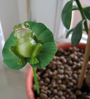 frog-flower1.jpg