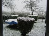 th_IMG_0497.jpg