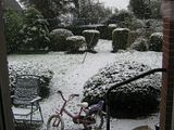 th_IMG_0498.jpg