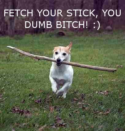 fetch2.jpg