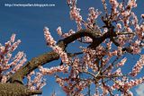 photo IMG_9432_zps2397c8b7.jpg