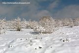 photo P1150626_zpsbdbea4c6.jpg