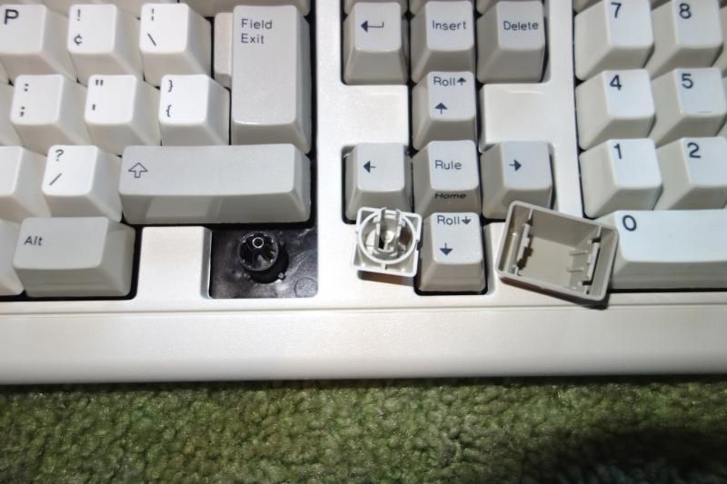  photo DSC02796_zpsf2e1acf8.jpg