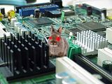 ComputerProblem.jpg image by hedgemom
