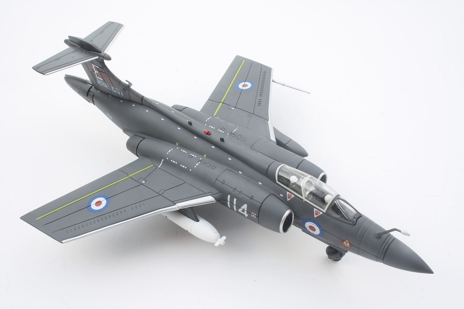 corgi buccaneer