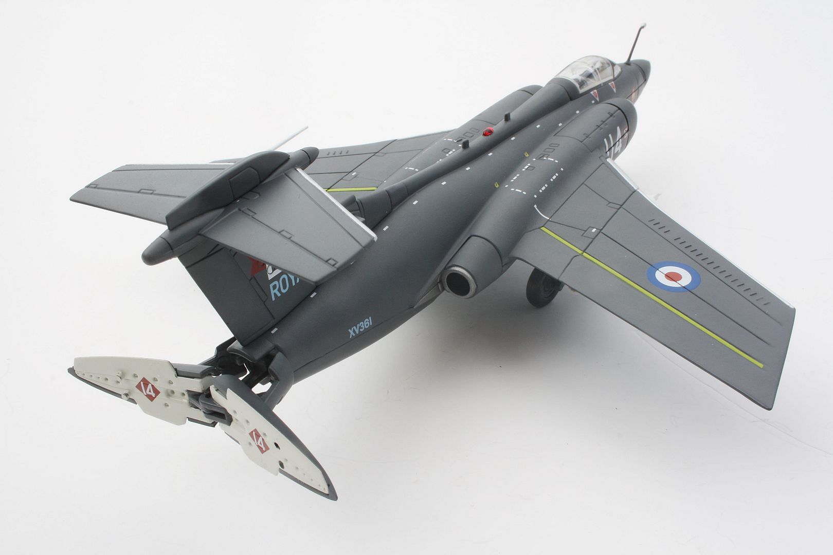 corgi buccaneer