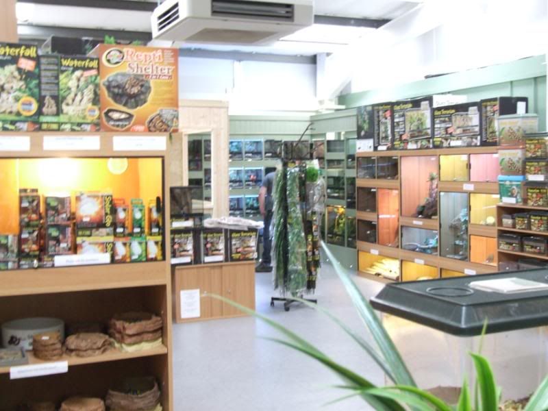 Leaping Lizards shop updated Photos! Reptile Forums