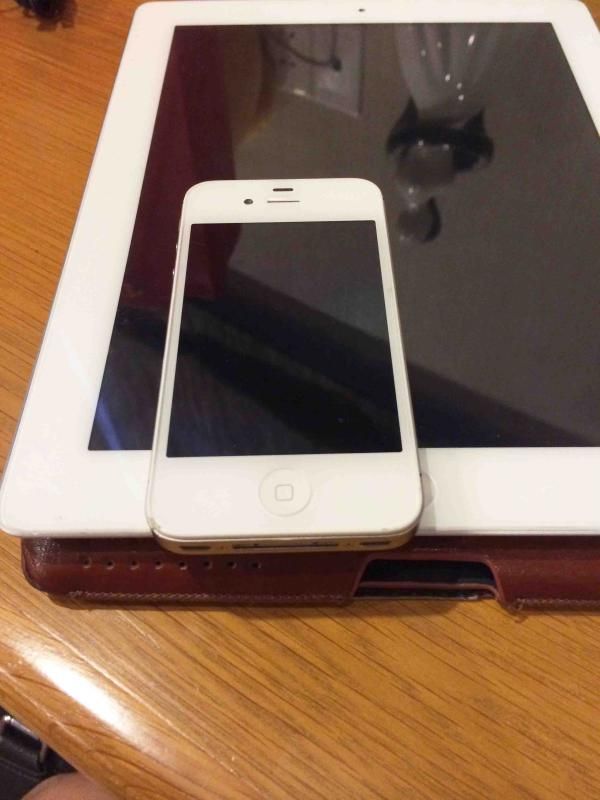 Ipad 2 - 3G - 64 GB - Trắng tinh khôi - Đẹp lung linh - 15