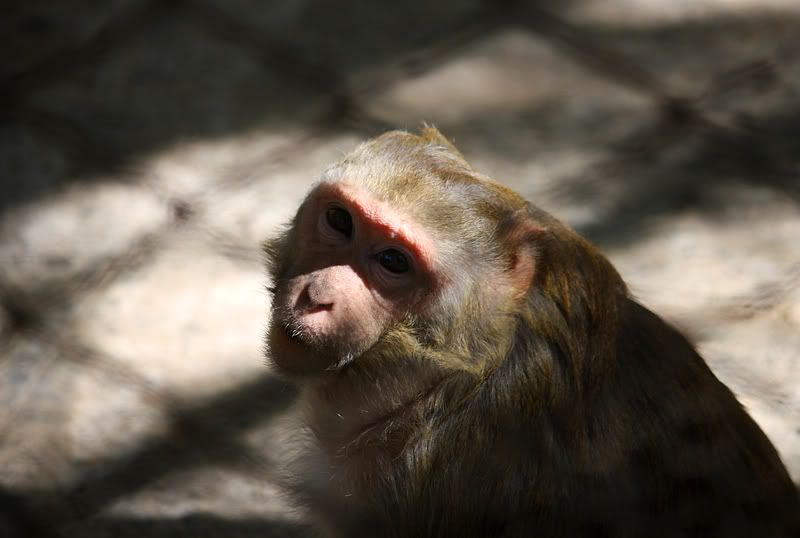 IMAGE: http://i74.photobucket.com/albums/i277/razackonline/EyetoEye.jpg