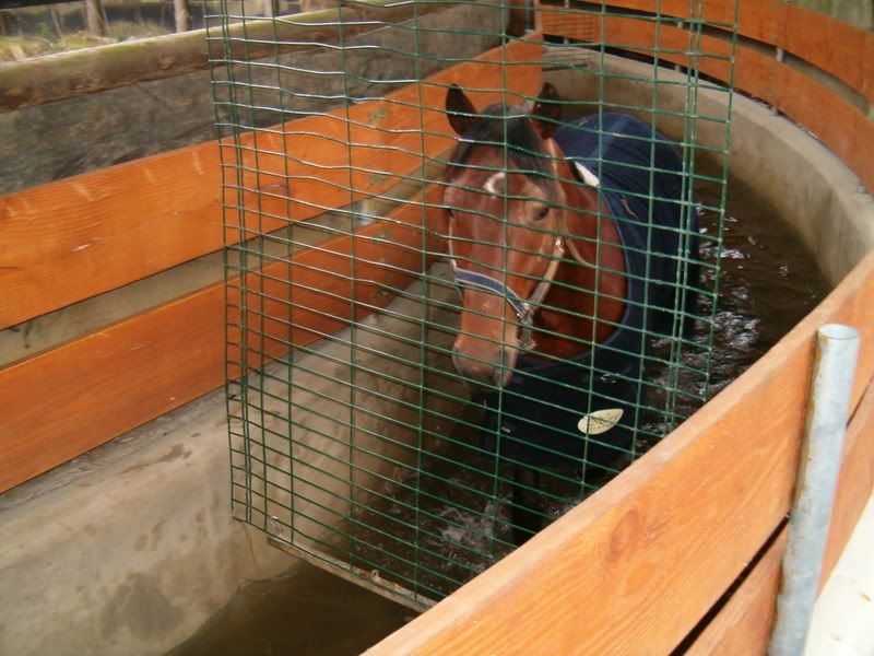 HPIM0785.jpg