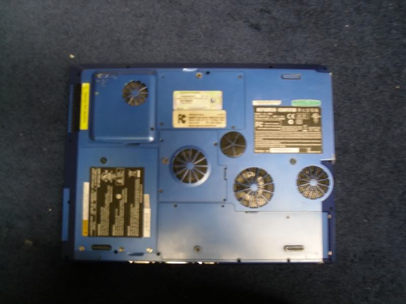 SDC10378800x600.jpg