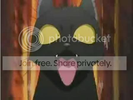 http://i74.photobucket.com/albums/i241/Holic_Ashanti/BleachYoruichiWTF.jpg