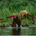 Bears With Lasers's Avatar