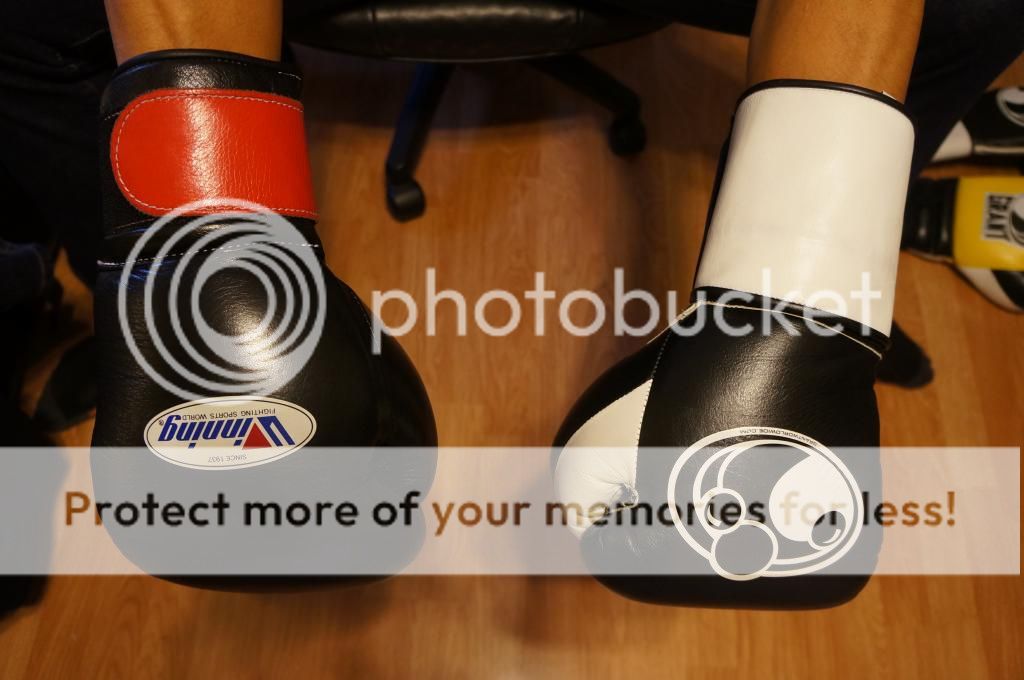 Grant Custom 16 oz Velcro Sparring Gloves Sherdog Forums UFC, MMA & Boxing Discussion