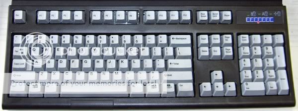 pckeyboards_2029_2693497.jpg