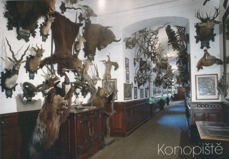 photo kono2.jpg