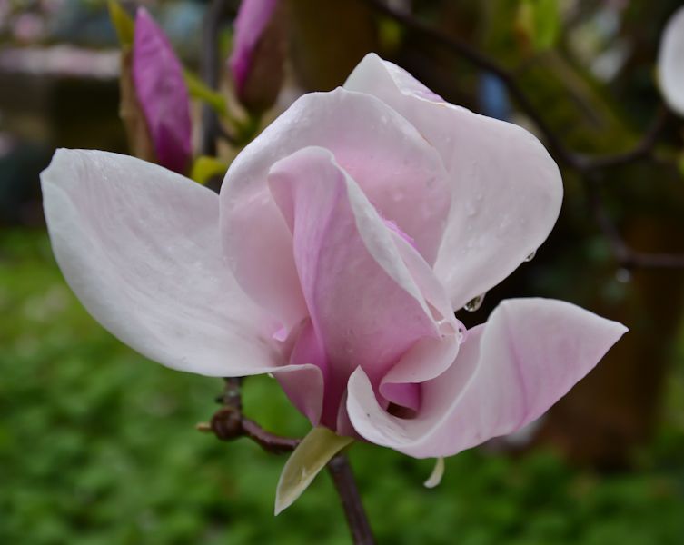 photo DSC_1881.jpg